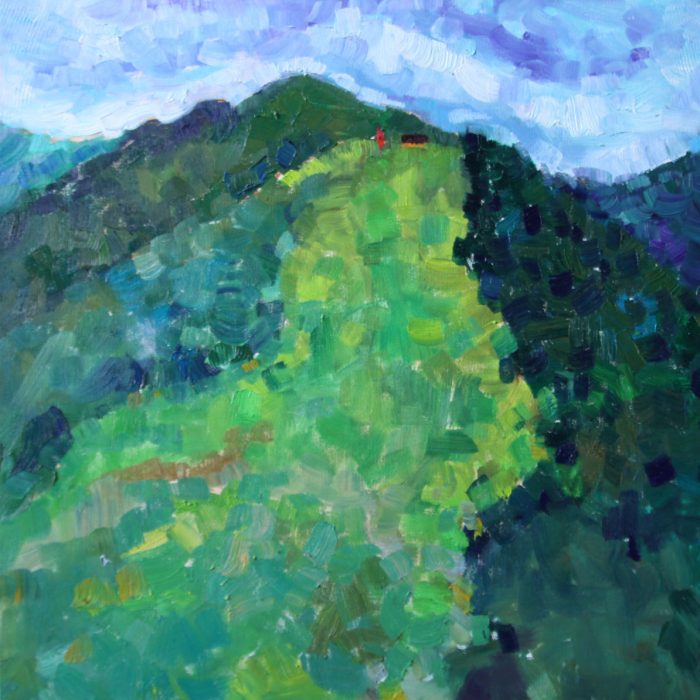 Green landscape - 50x50 cm - 2009